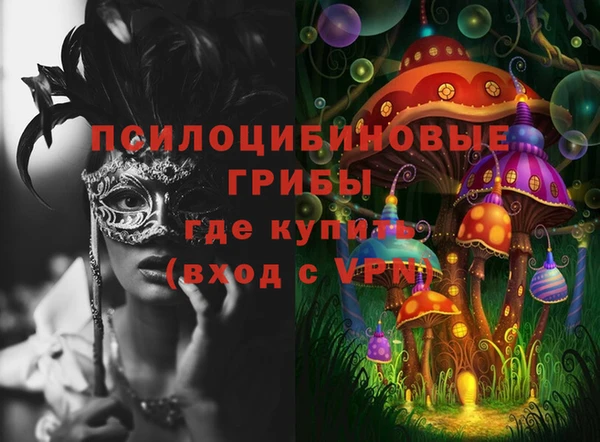 ешки Балахна