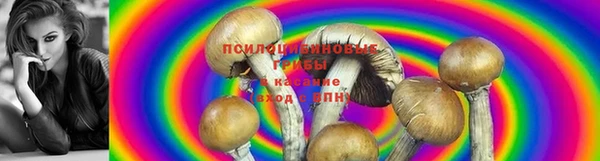 ALPHA PVP Баксан