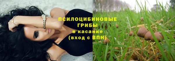 ALPHA PVP Баксан