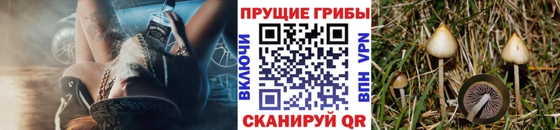 Псилоцибиновые грибы мухоморы  Кстово 